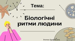Біологічні ритми людини