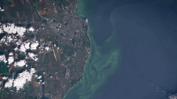 0900iff4-b335-582x326.png