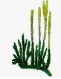 0900ig3n-c5eb-124x160.png