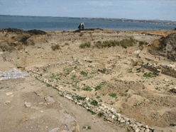 0900igso-daa0-248x186.png