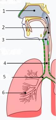 0900ii6c-68da-180x385.jpg