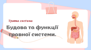 Будова та функції травної системи 8 клас НУШ
