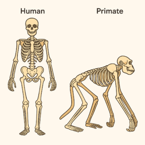 0900itxh-0034-291x291.png
