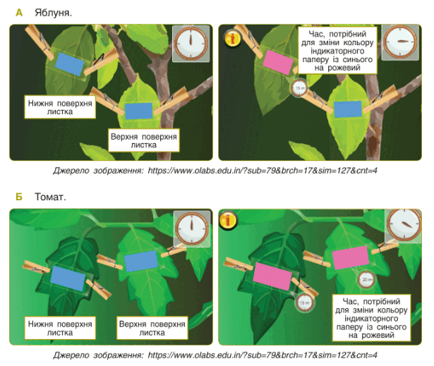 0900iyph-e169-615x519.png