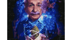 A GENTLE GENIUS.  Завдання до тексту для домашнього читання 9 клас ( за підручником О.Д. Карпюк)