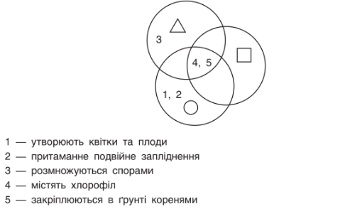 0900iyq5-484b-486x294.png