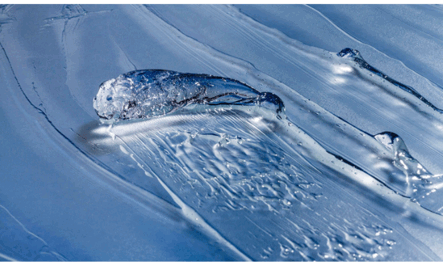 0900j0a6-7561-443x265.png