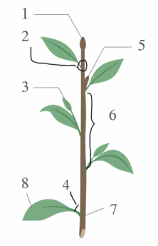 0900j123-63e5-222x345.png