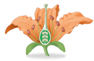 0900j6ot-c747-191x124.png