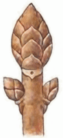 0900j6qa-f6cb-136x295.png