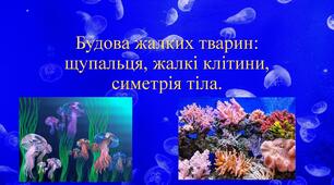 Будова жалких тварин: щупальця, жалкі клітини, симетрія тіла.