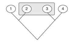 0900jaqn-856a-239x142.png