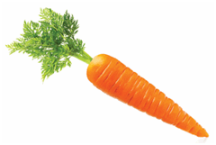 0900jbki-a492-240x161.png
