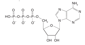 0900jc3o-bab6-287x154.png