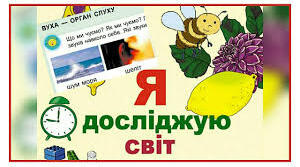Шкіра — орган дотику