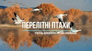 Перелітні птахи