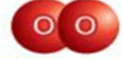 0900jga4-b74c-122x59.png