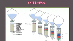 Хромотографічні методи аналізу багатокомпонентних газових сумішей.  Промислові хромотографи