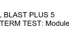 FULL BLAST PLUS 5 – Семестрова контрольна робота