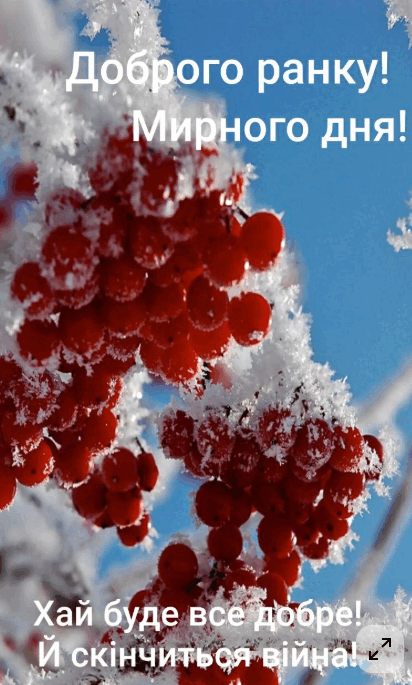 0900jq5d-b991-412x685.png