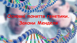 Основні поняття генетики. Закони Менделя