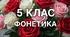💛🩵 Фонетика