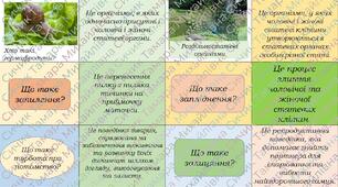 Флешкарти з теми "Розмноження організмів", 24 штуки.
