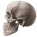 0900jthb-3397-125x124.png