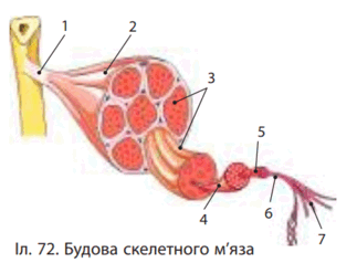 0900jtl9-d5d4-323x238.png