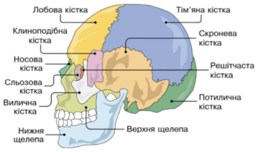 0900jx5a-d43b-373x219.png