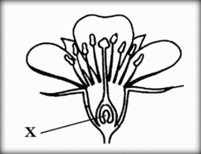 0900k6bp-2c6a-396x304.png