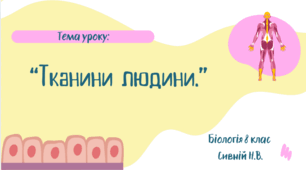 Тканини людини 8 клас НУШ