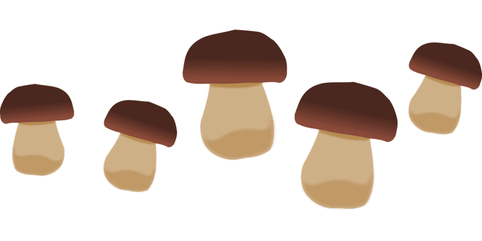 0900k8ep-252a-940x470.png
