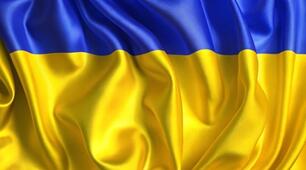 "Суспільний устрій та господарське життя за часів Володимира Великого та Ярослава Мудрого"