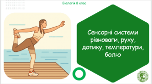 Презентація, конспект уроку та робочі аркуші на тему "Сенсорні системи рівноваги, руху, дотику, температури, болю". 8 клас НУШ