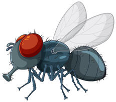 0900kfs1-ba87-231x204.jpg