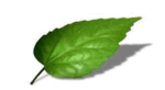 0900kgap-0332-150x82.png