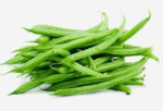 0900kgbh-5183-150x102.png