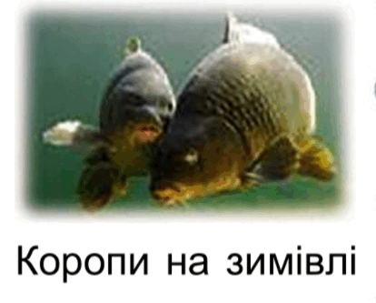 0900khey-3c88-414x333.png