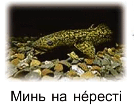 0900khg6-ce0c-438x355.png