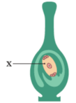 0900khkm-a5ce-109x147.png
