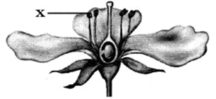 0900khrc-e501-307x141.png