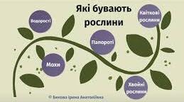 Які бувають рослини. Як розмножуються квіткові рослини