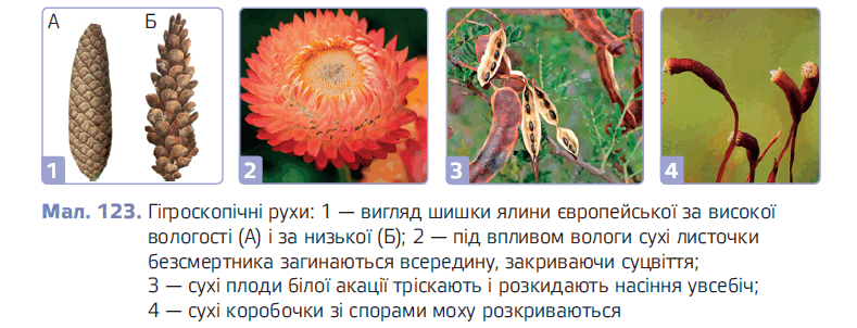 0900khyk-0a37-789x302.png