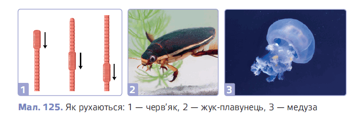 0900ki2y-7288-739x242.png