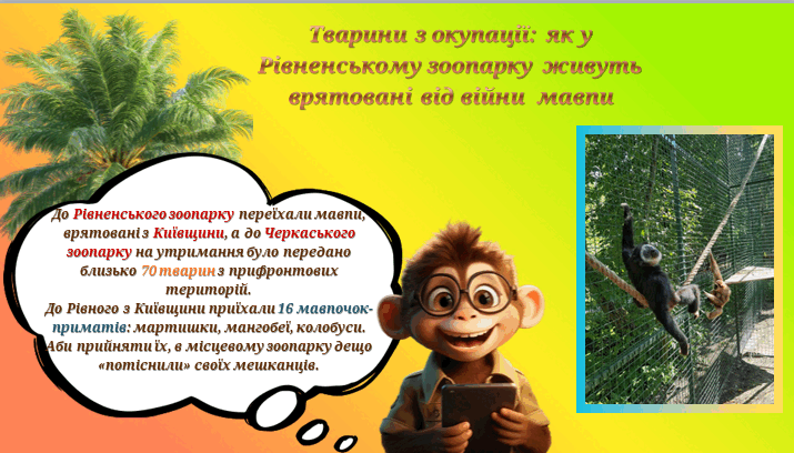 0900kk78-c29d-715x408.png