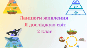 Ланцюги живлення. 2 клас