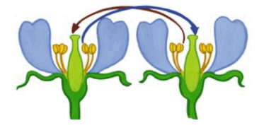 0900kmkc-65f4-373x181.png