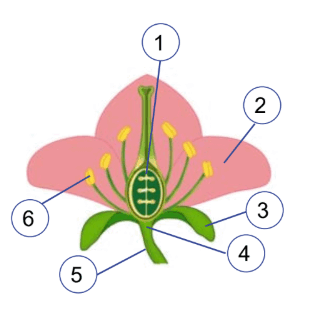 0900kmw5-1be9-321x321.png