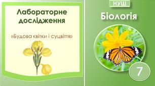 Лабораторне дослідження "Будова квітки і суцвіття". Біологія 7 клас НУШ